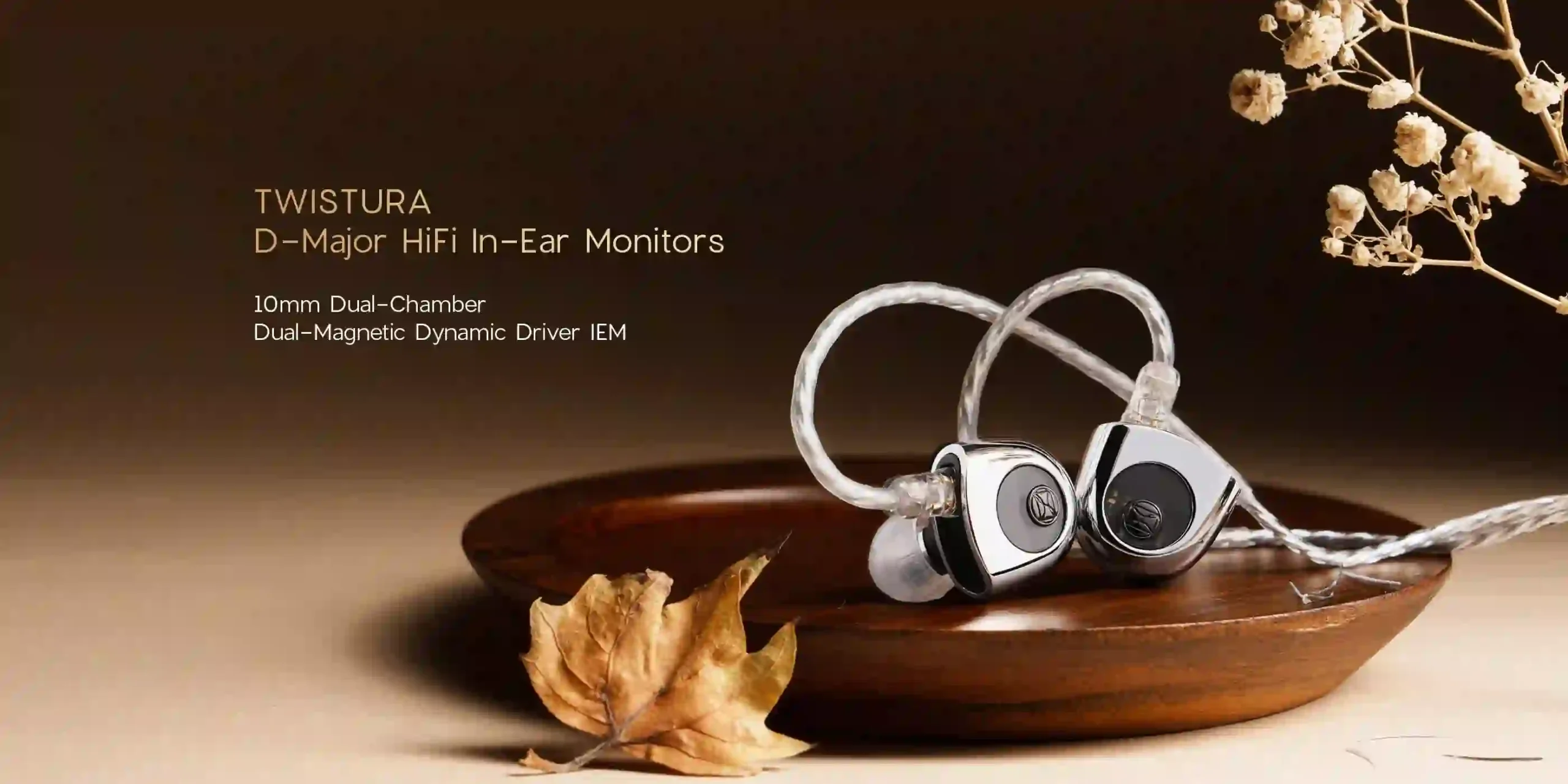 TWISTURA D-Major 10mm Dual-Chamber IEM