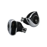 TWISTURA D-Major 10mm Dual-Chamber IEM